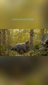 Giant Ground Sloths (eremotherium) an extinct genus of giant ground sloth in the family Megatheriidae. | Ron Aldo