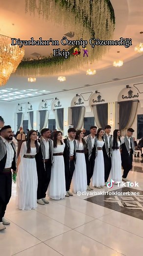 Diyarbakır Halayı: Erebane Dansı ve Folklor