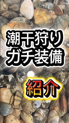 【解説】潮干狩りのガチ装備一覧