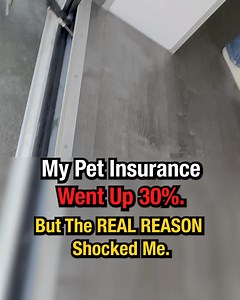 18 reactions | Is your dog aging faster than they should? ⏳ Your...