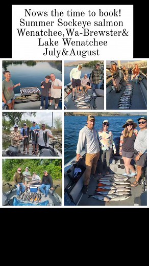 Booking summer Sockeye salmon trips on the Columbia river from Wenatchee Wa - Brewster pool & Lake Wenatchee. Give Stully's Guide Service a Call 509-860-7233 today to book your fishing adventure! Morning and evening trips available. Www.Stullysguideservice.net #sockeyesalmon #Brewsterpool #uppercolumbiariver | Stully's Guide Service
