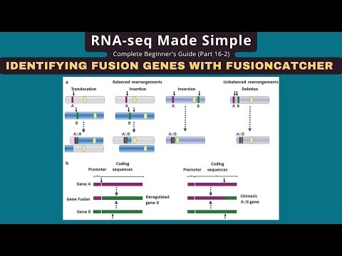 FusionCatcher Tutorial: Detect Fusion Genes in RNA-seq Data for Cancer Research | RNA-seq Part 16-2