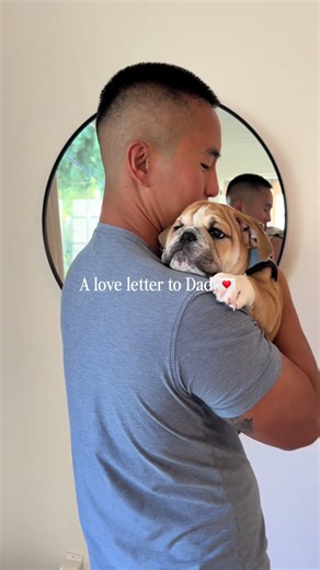 Dad is the best #bulldogsoftiktok #englishbulldogpuppy #bulldogpuppy #englishbulldogsoftiktok