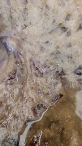 Sea weed special edition soap. | Usha Village Cellfood by Dr. Sebi