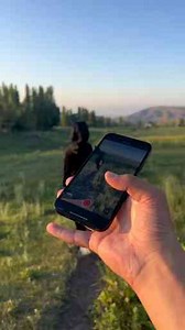 This Moment Deserved to Be Filmed