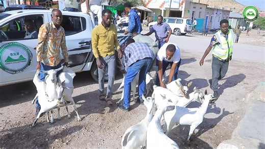 ‏ADHI LAGA QABQABANAYO CAASIMADDA HARGAYSA