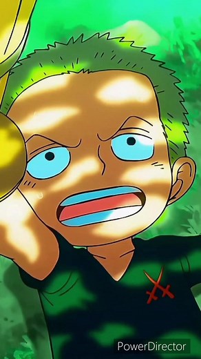 Zoro Flashback Highlights from One Piece Anime