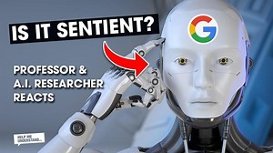 Google’s Sentient AI? Artificial Intelligence Expert Reacts – Lifeboat News: The Blog