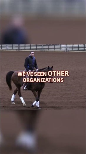 Blending Classical and Modern Approaches in Dressage Training