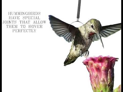 ARC 438 MODLULE 3 PROJECT