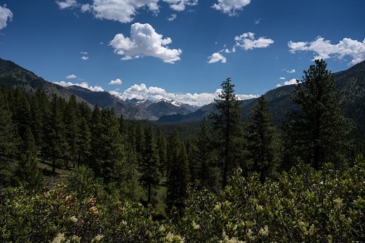 How to Explore the Vast Boise National Forest in Every Season