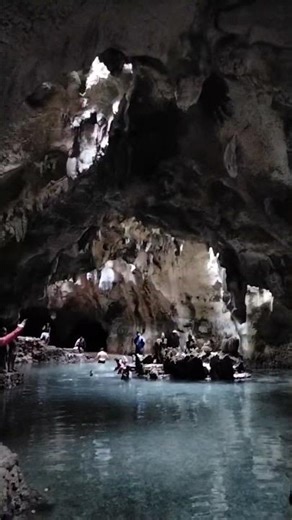 Trees Growing Through a Cave?! Nature Is Amazing 😍