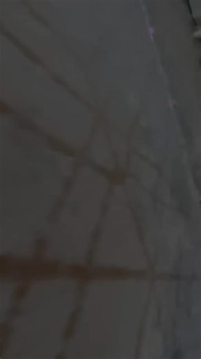 11 февраля 2026 г.