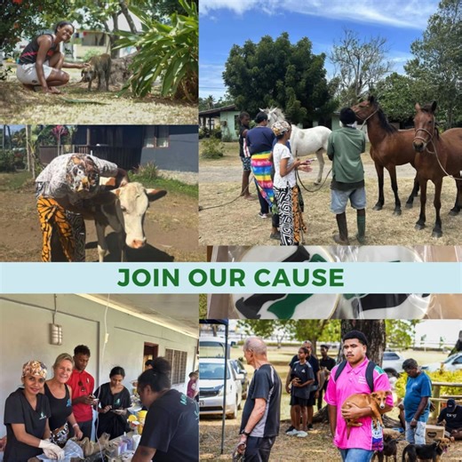 Visiting Fiji? Come experience something truly meaningful during your stay! Whether you’re a visitor or a local, dive into the heartwarming experience of our Animals Fiji Nadi Clinic & Shelter Tour. Witness firsthand the incredible work we do to rescue, rehabilitate, and care for animals in need. Join us for a behind-the-scenes look at our working animal welfare and veterinary facility, which also serves as the national head office for our charity. Learn about our challenges, our impact across F