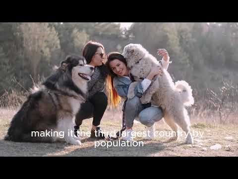 United States of America 🇺🇸 | Everything You Need to Know