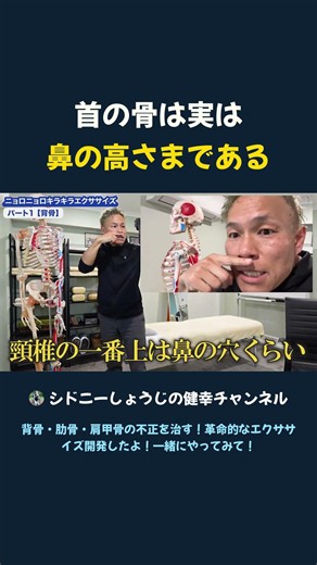首の骨は実は 鼻の高さまである