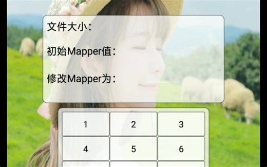 如何修改NES文件的mapper值