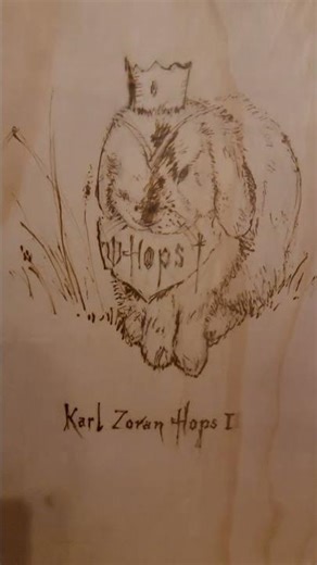 Update 2 on rabbitat-Vlog Day 26