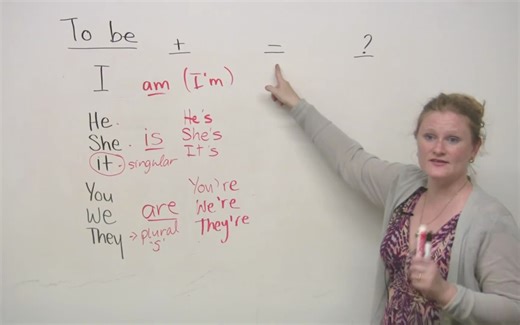 Basic English Grammar - TO BE verb