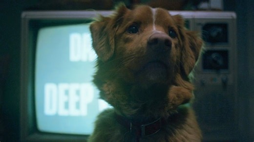 Horror fans terrified as 'genuinely unnerving' trailer drops for film shot from the perspective of a dog