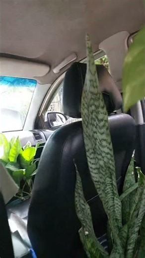 Ghana Showing Me Love