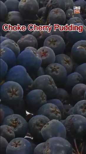 Wild & Sweet | Chokecherry Pudding | A Native American Classic | USA