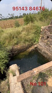 Thirunelveli Mavattam, Best Investment Thoppu with Free Service current 4 Aker Land 1 acre 11, Lakh only final rate in roadside land Road frontage,400 ft beautiful location, Manur near Thirunelveli to Sangaran Kovil Highway near Highway to 2 km only. Thank you for watching my video supporting for all my friends. | Tenkasi LandPromoter