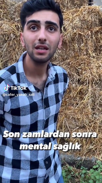 Exploring Rural Landscapes with Hay Stacking Techniques