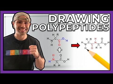 Intro to Peptides and Drawing Polypeptides