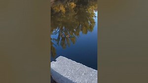 Fishing Joke 66 #jokes #fishingjokes #humor #joke