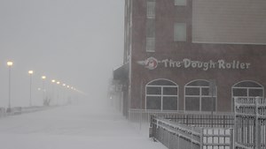 Column: How to survive a snow bomb cyclone