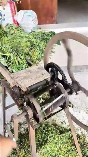 The Process of Chopping Forage Using a Manual Machine #shorts