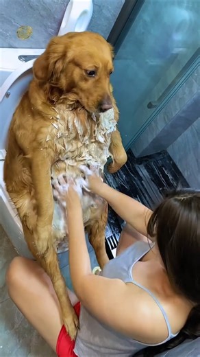 🐶Dog Ka First Bath😱Pehle Shock Phir #EnjoyCutePet ReactionFromAngryTo Happy🐕#Dog Bath Transformation