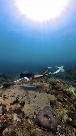 7.8K views · 347 reactions | Bringing back the blues on my feed with...