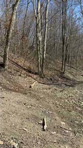 #400ex hill climb