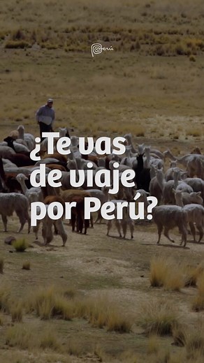 Adventure and Happiness! Peru is waiting for you✨🇵🇪❤️ #peru #visitperu #traveller #tourist