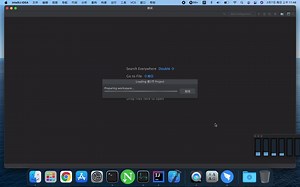 Mac系统上Java学习第三课：认识IDEA和Java代码