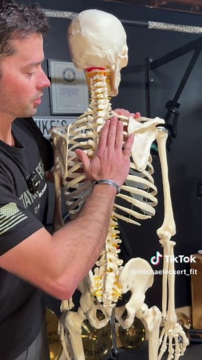 Proper Scapula Engagement for Better Pull Ups