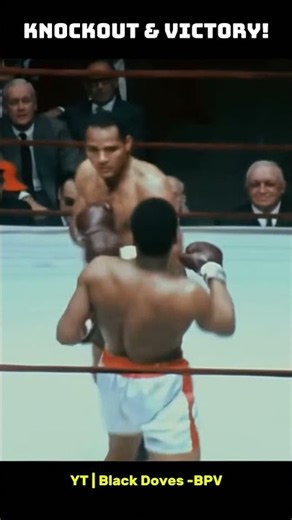 THE GREATEST. Six Finishes. One Legend. 🥊🔥#MuhammadAli #Boxing #TheGreatest #BoxingHistory #Shorts