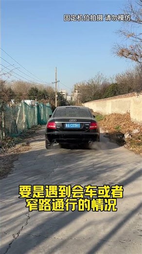 How to judge the car body and wheel alignment lines by looking at the steering wheel #DailyCarTip...