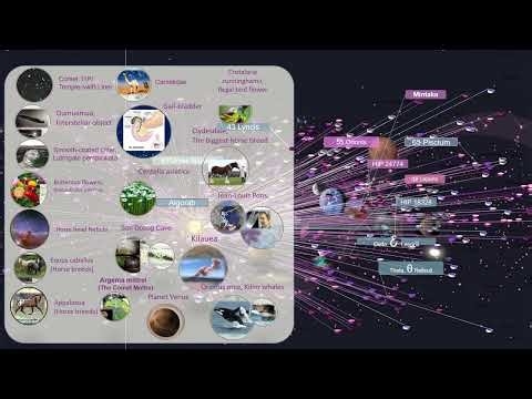 Orion stars system (13)