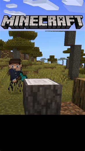 Minecraft Bedrock Tips & Hacks 😱 | Survival Noob to Pro