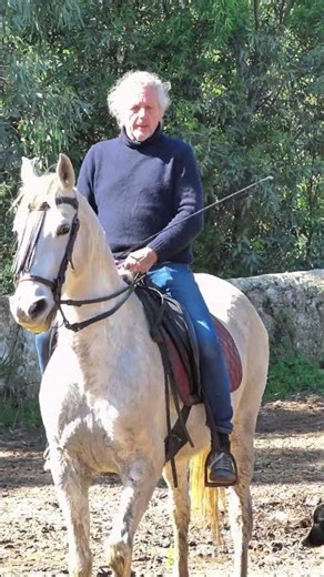 Ride Better, Not Harder Andalusian Horse Lab