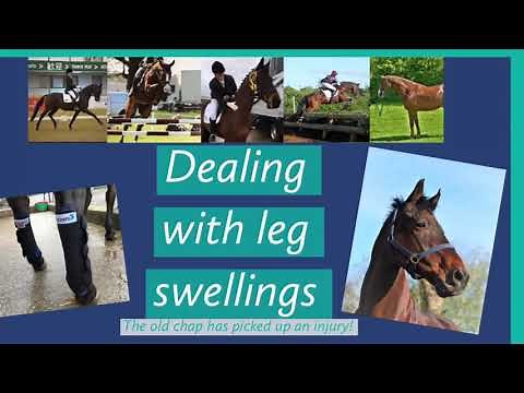 DEALING WITH MY HORSES SWOLLEN LEG | Horse Injury| Equestrian