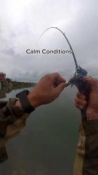 Chinning at Yodogawa River Mouth | Kibire on Free Rig 10g