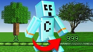 Minecraft But XP = Realism