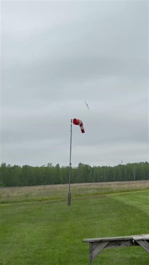 Lanier RC Shrike free plans on Outerzone