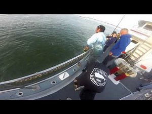 Laura lee Express Party Boat Fishing in Captree NY Light tackle bay casting plus pier fishing