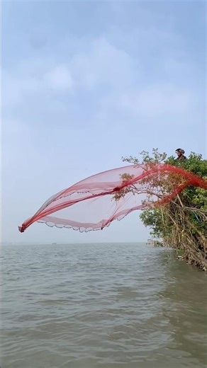 Cast net throw best skill #reels #fishing #fish #shorts #best #vairal #explore