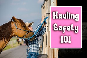 26 reactions · 11 shares | Safety first! Here are some tips to keep your horse out of harm's way while traveling. #horses #horseriding #horsetraining #horseshow #horseshowlife | SaddleBox | Facebook